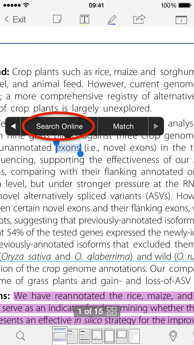 Select A Word In Your Document To Begin An Online Search In Papers 3 For IPhone Pro Tips